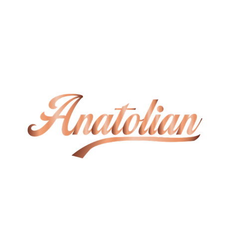 Anatolian Turkish Kitchen