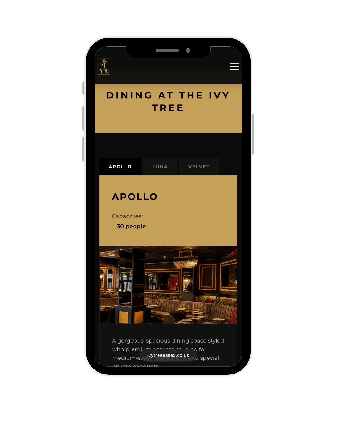 TABLY venue website on mobile